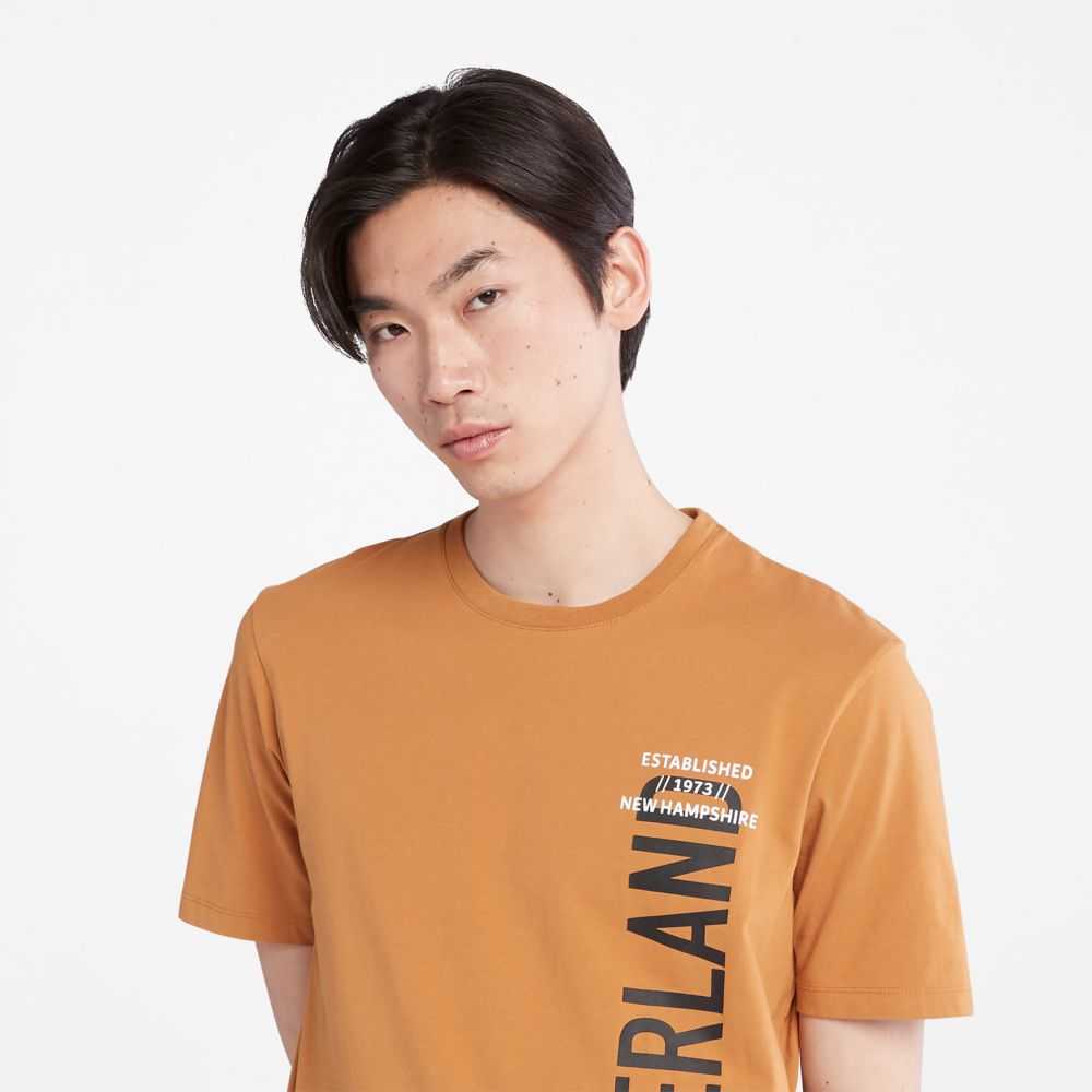 Timberland Logo Marroni | SN-TBL46090