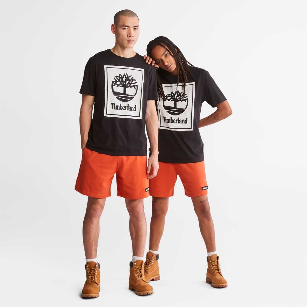 Timberland Logo Nere Bianche | SN-TBL46109