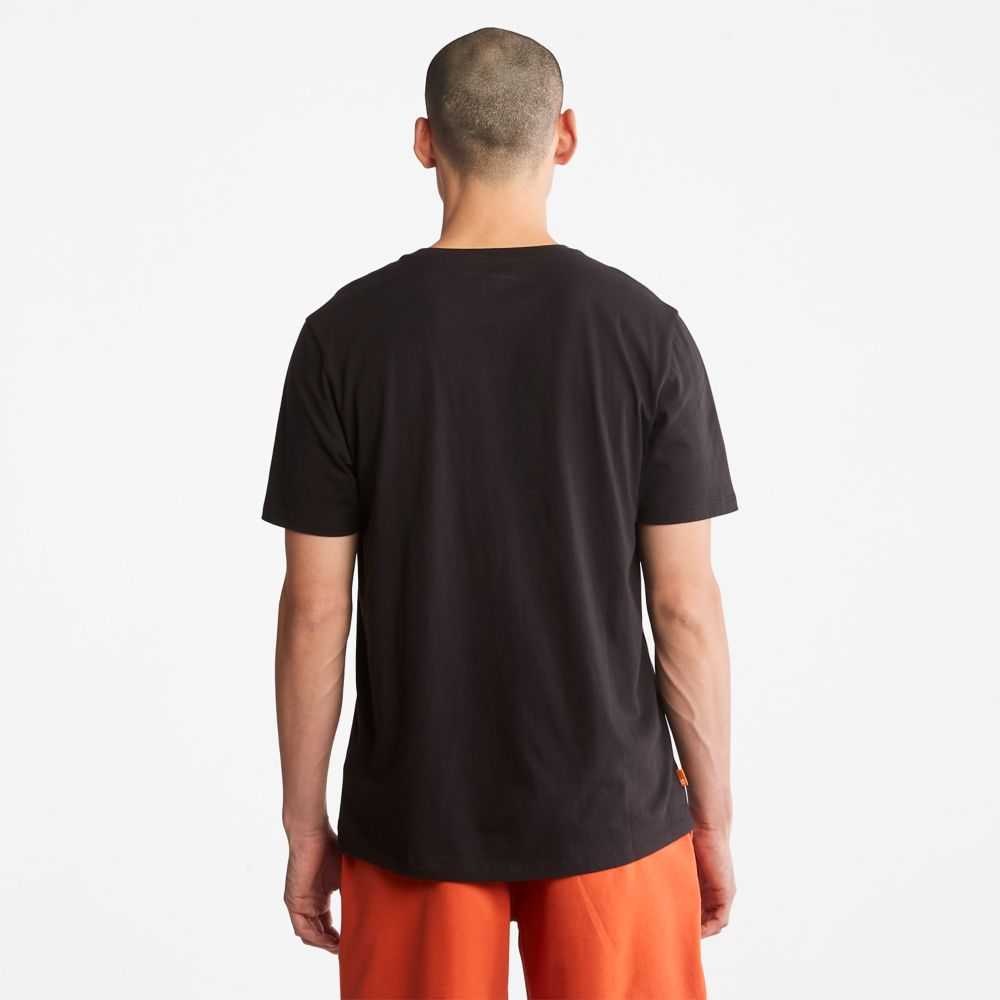 Timberland Logo Nere Bianche | SN-TBL46109