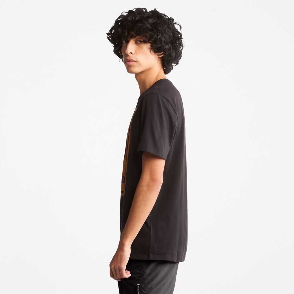 Timberland Logo Nere Marroni | SN-TBL46107
