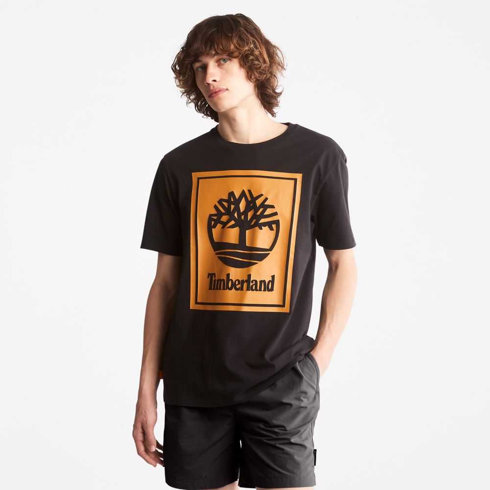 Timberland Logo Nere Marroni | SN-TBL46519