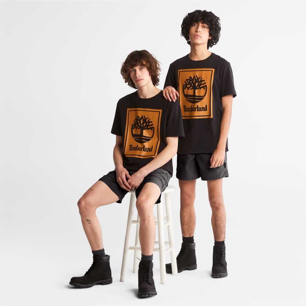 Timberland Logo Nere Marroni | SN-TBL46519
