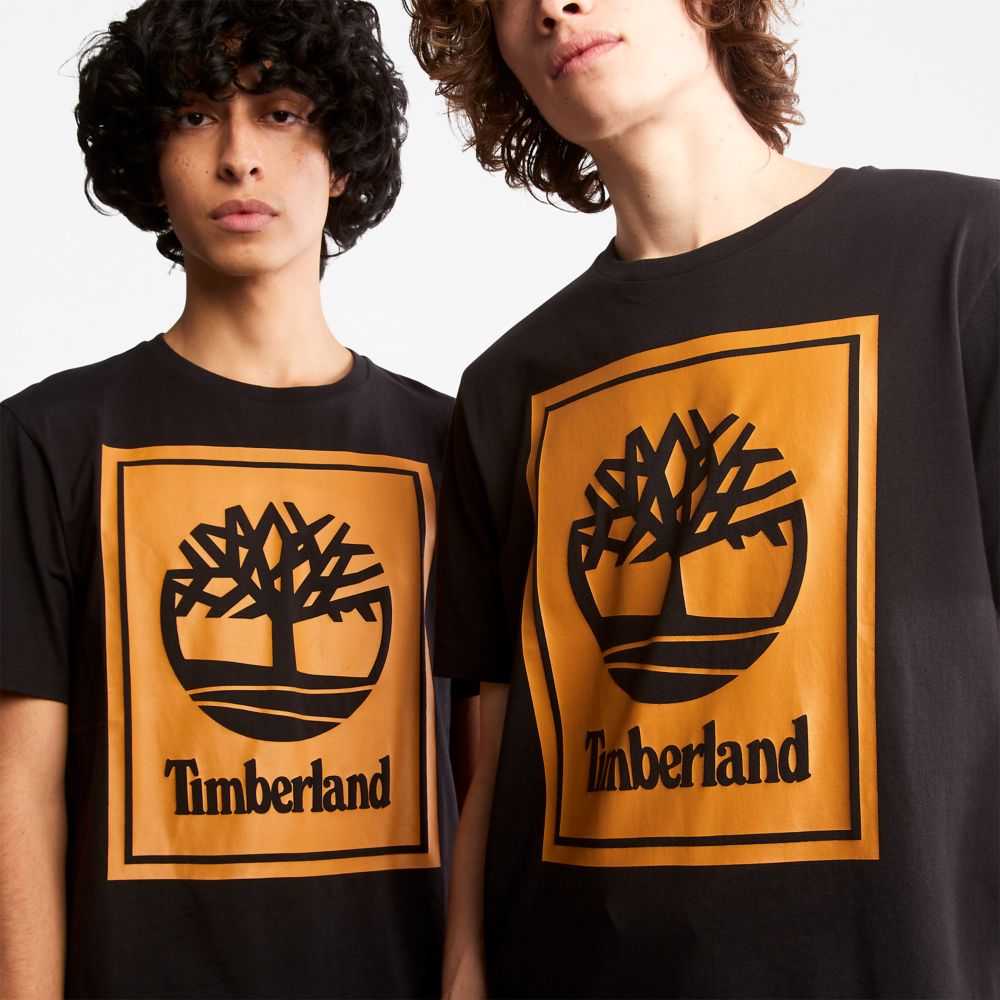 Timberland Logo Nere Marroni | SN-TBL46519