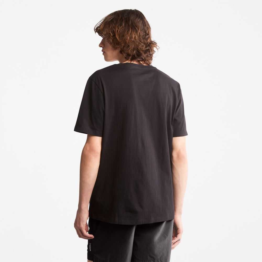 Timberland Logo Nere Marroni | SN-TBL46519