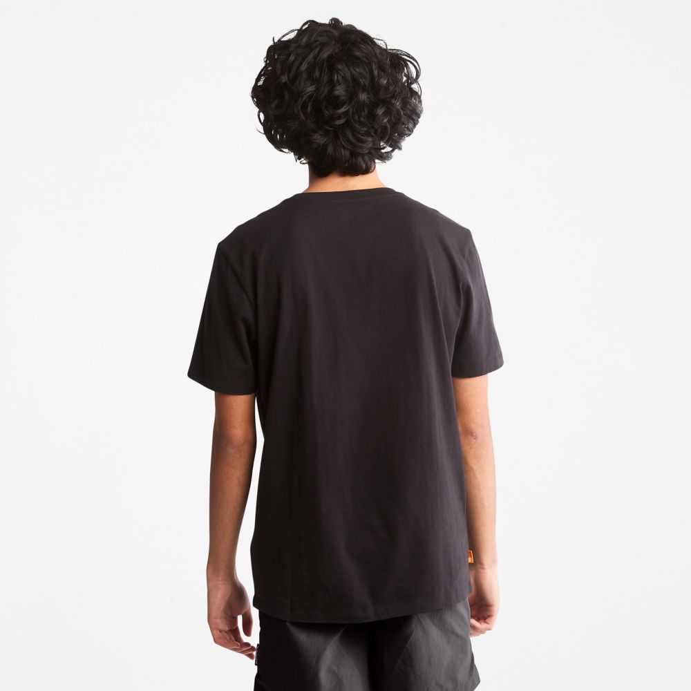Timberland Logo Nere Marroni | SN-TBL46519