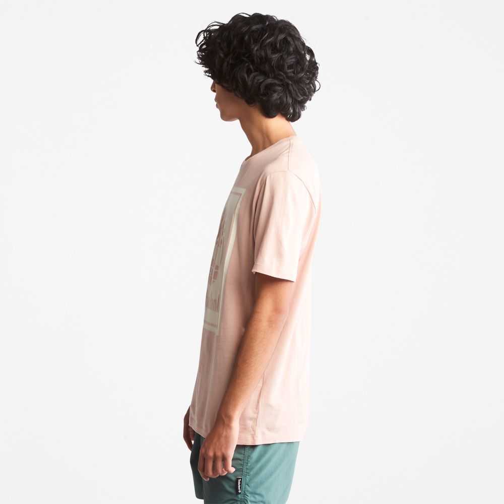 Timberland Logo Rosa Bianche | SN-TBL46518