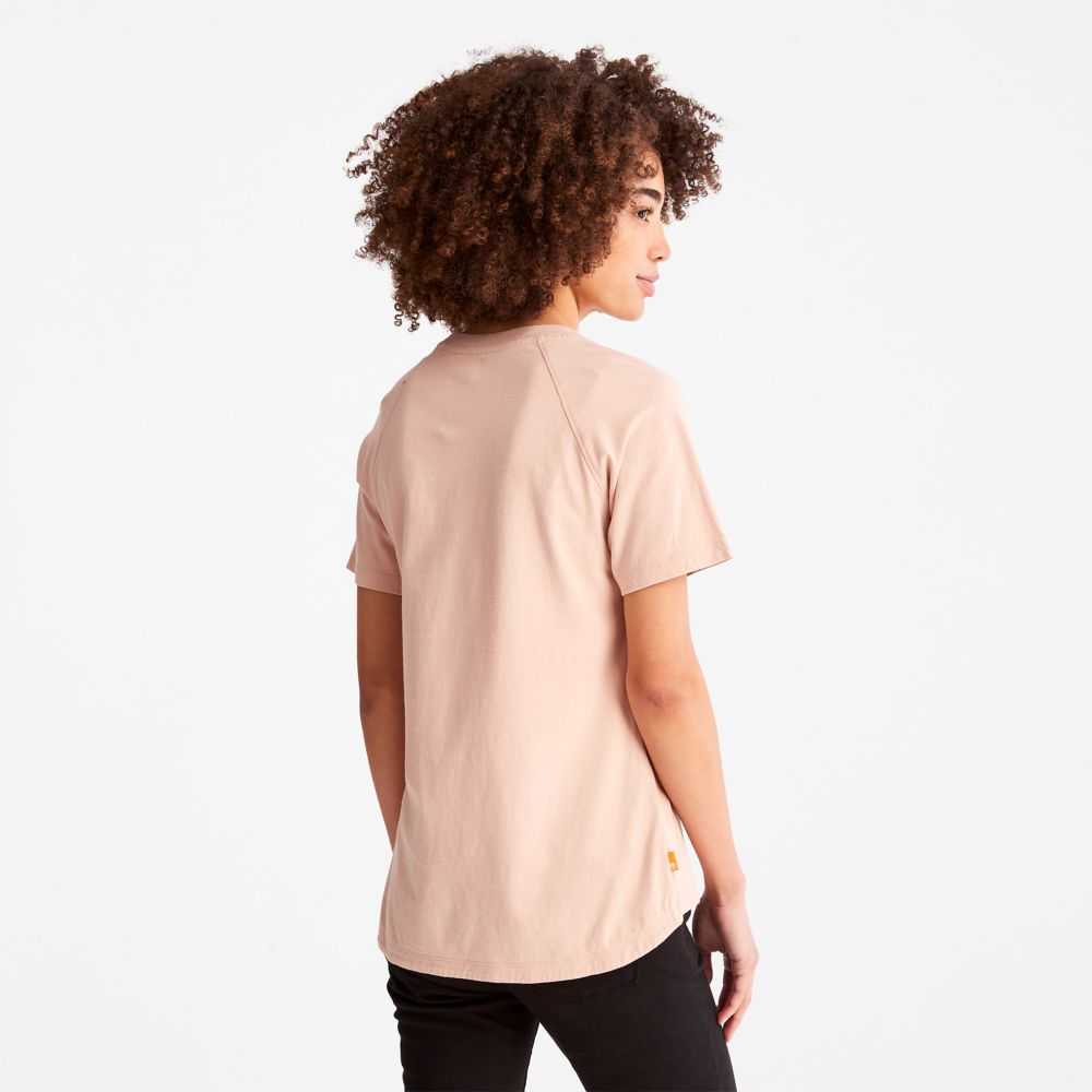 Timberland Logo Rosa | SN-TBL46460