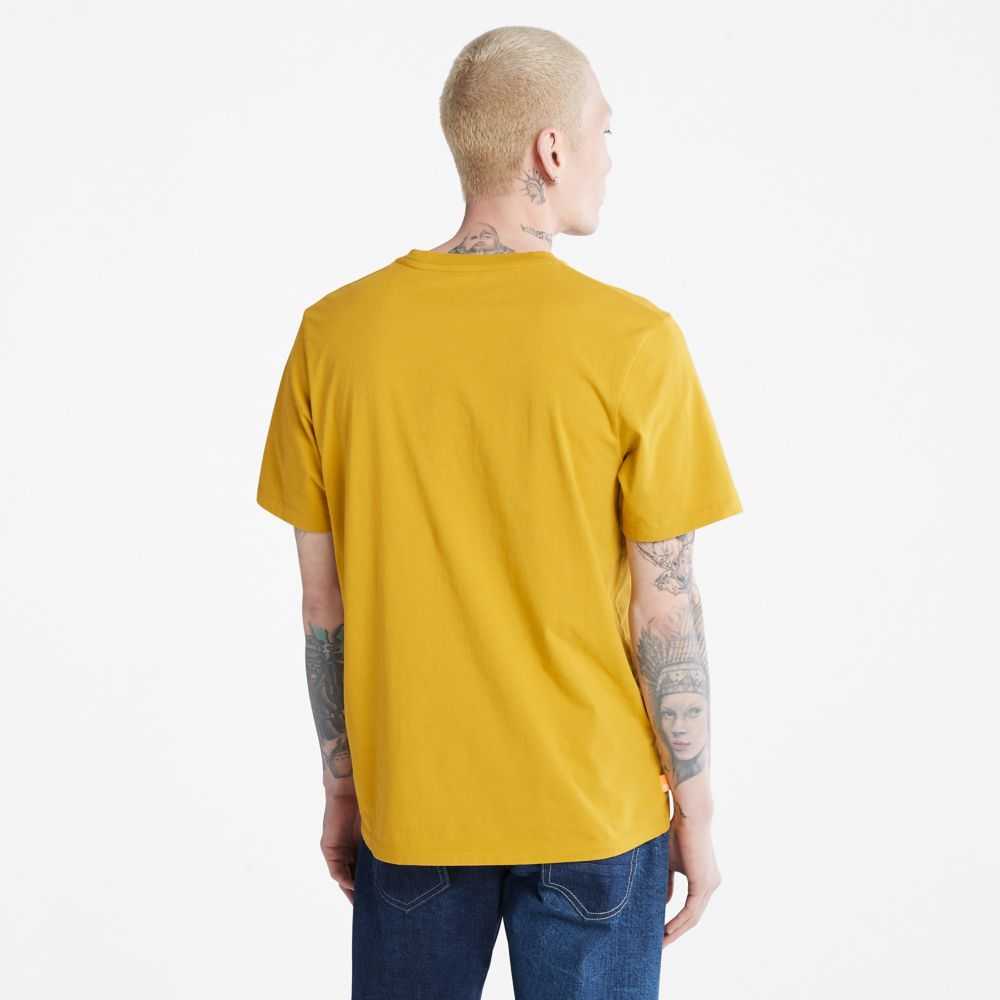 Timberland Logo Senape | SN-TBL46093