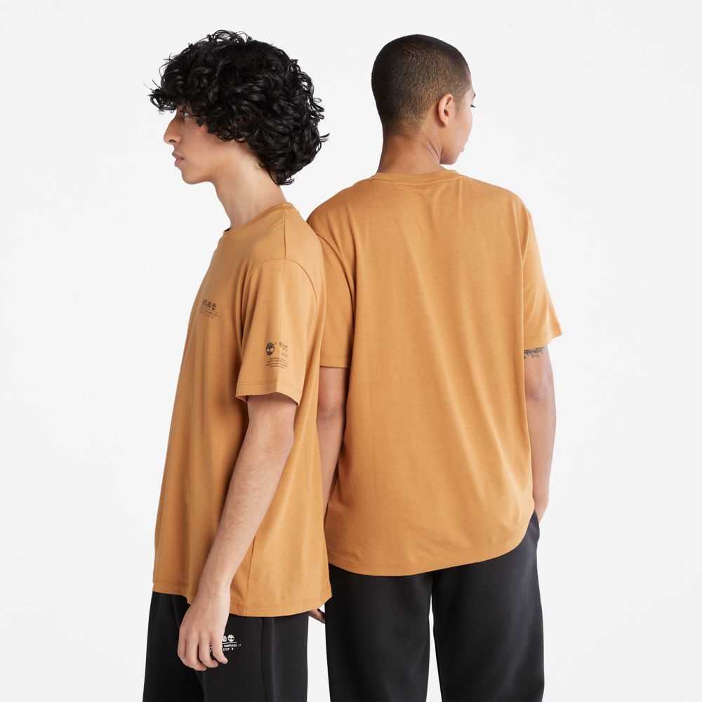 Timberland Luxe Comfort Marroni | SN-TBL46509