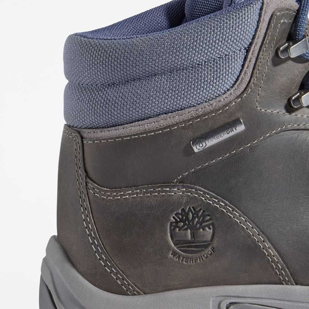 Timberland Mt Maddsen Grigie Scuro | SN-TBL46398