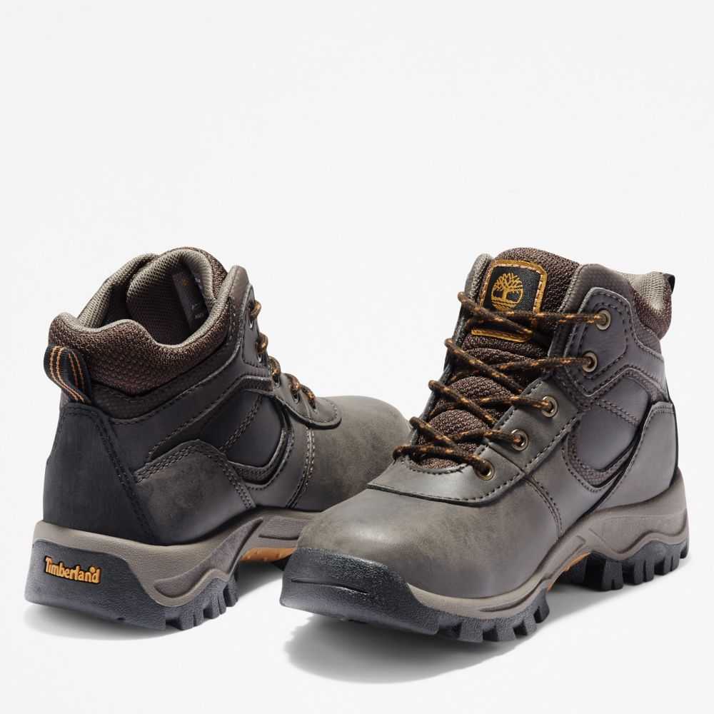 Timberland Mt Maddsen Marroni Scuro | SN-TBL46643