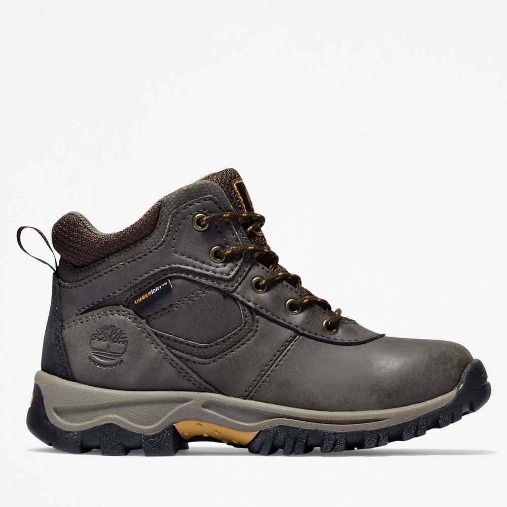 Timberland Mt Maddsen Marroni Scuro | SN-TBL46643