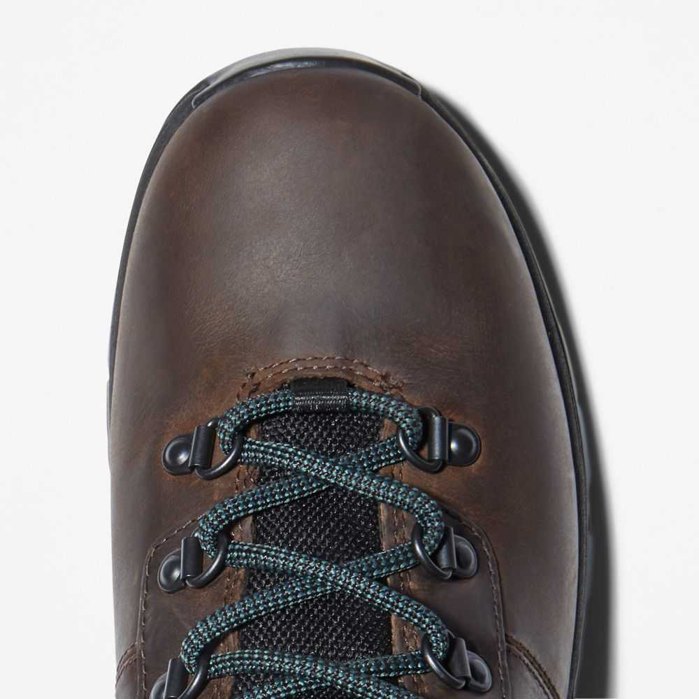 Timberland Mt Maddsen Marroni Scuro | SN-TBL46397