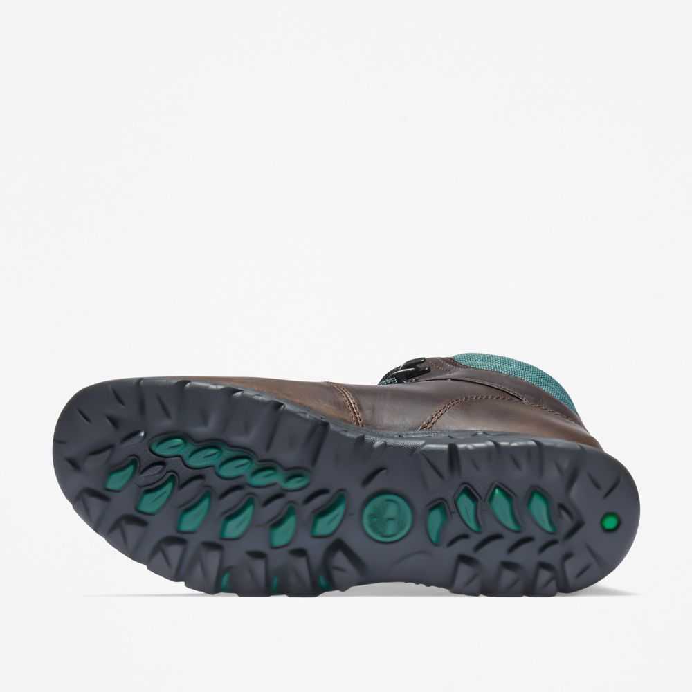 Timberland Mt Maddsen Marroni Scuro | SN-TBL46397