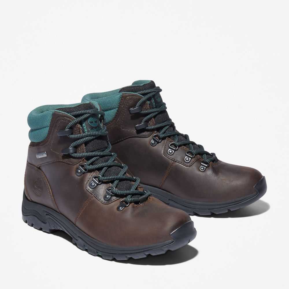 Timberland Mt Maddsen Marroni Scuro | SN-TBL46397