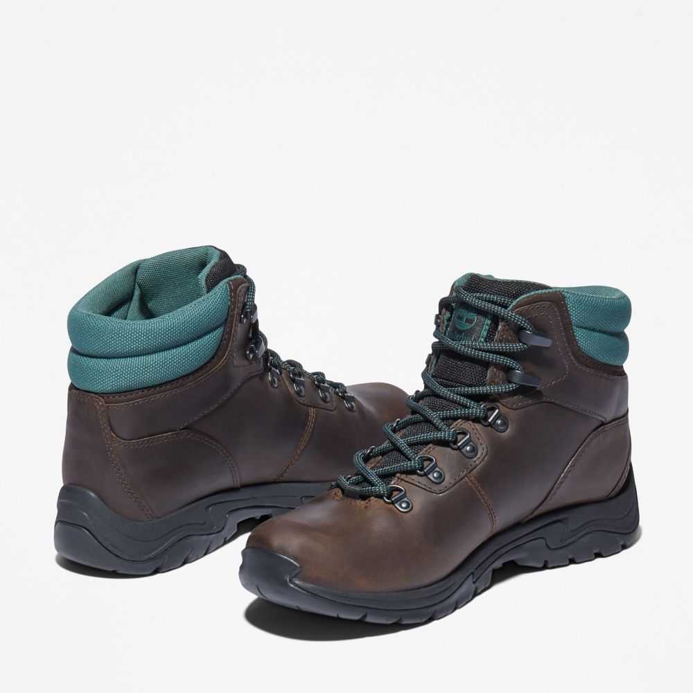 Timberland Mt Maddsen Marroni Scuro | SN-TBL46397