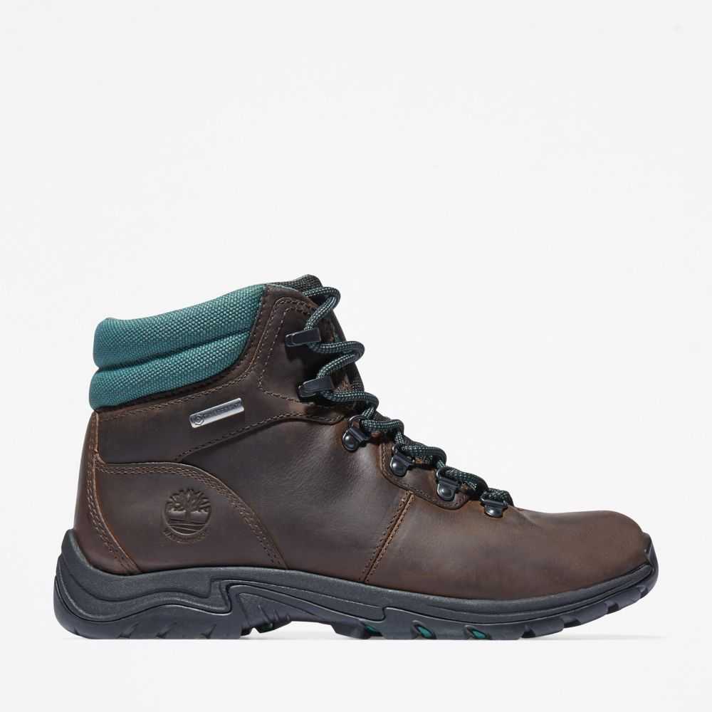 Timberland Mt Maddsen Marroni Scuro | SN-TBL46397