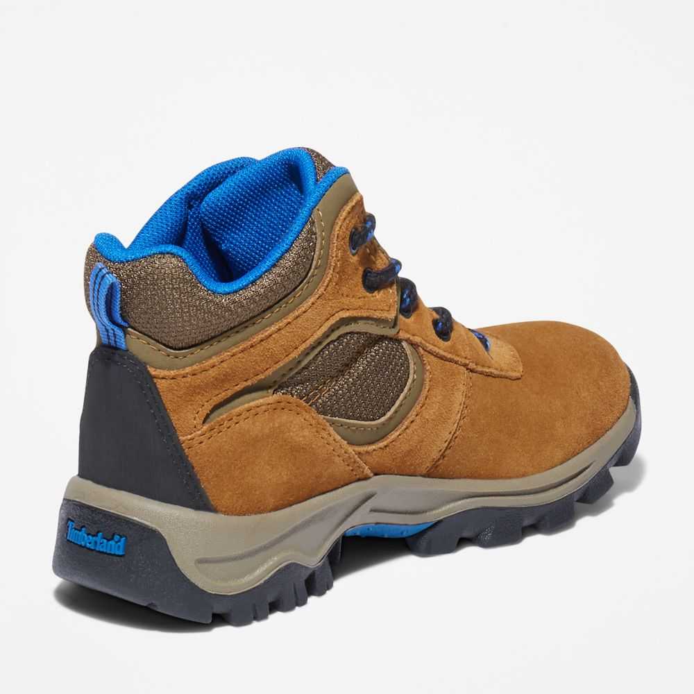 Timberland Mt Maddsen Marroni | SN-TBL46622