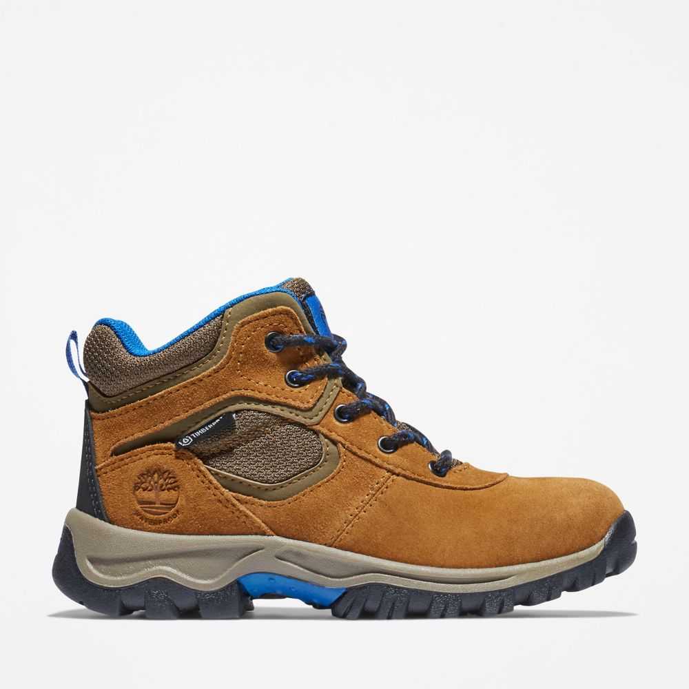 Timberland Mt Maddsen Marroni | SN-TBL46622