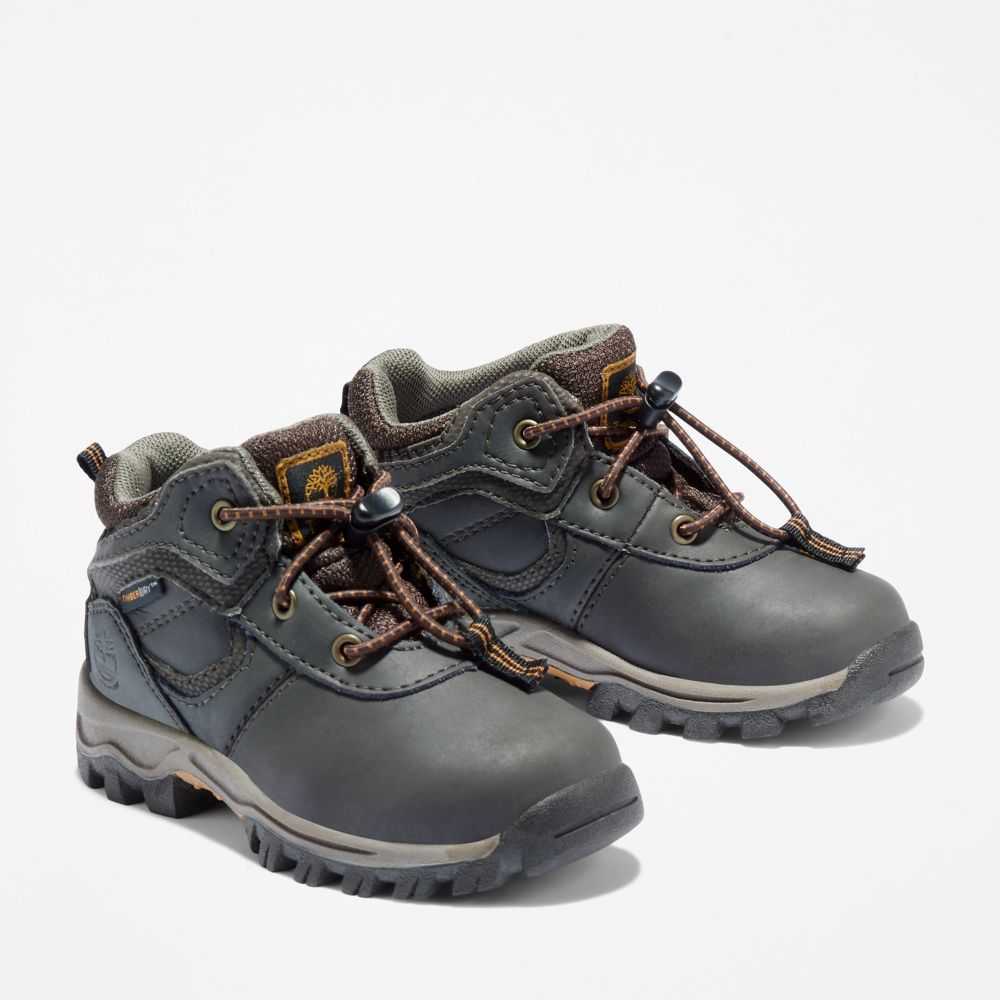 Timberland Mt Maddsen Marroni | SN-TBL46647