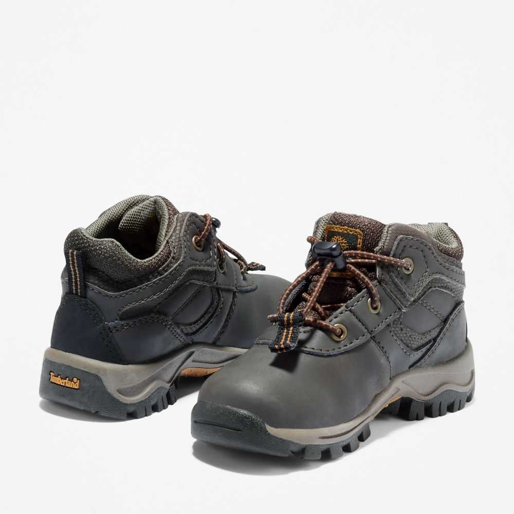 Timberland Mt Maddsen Marroni | SN-TBL46647