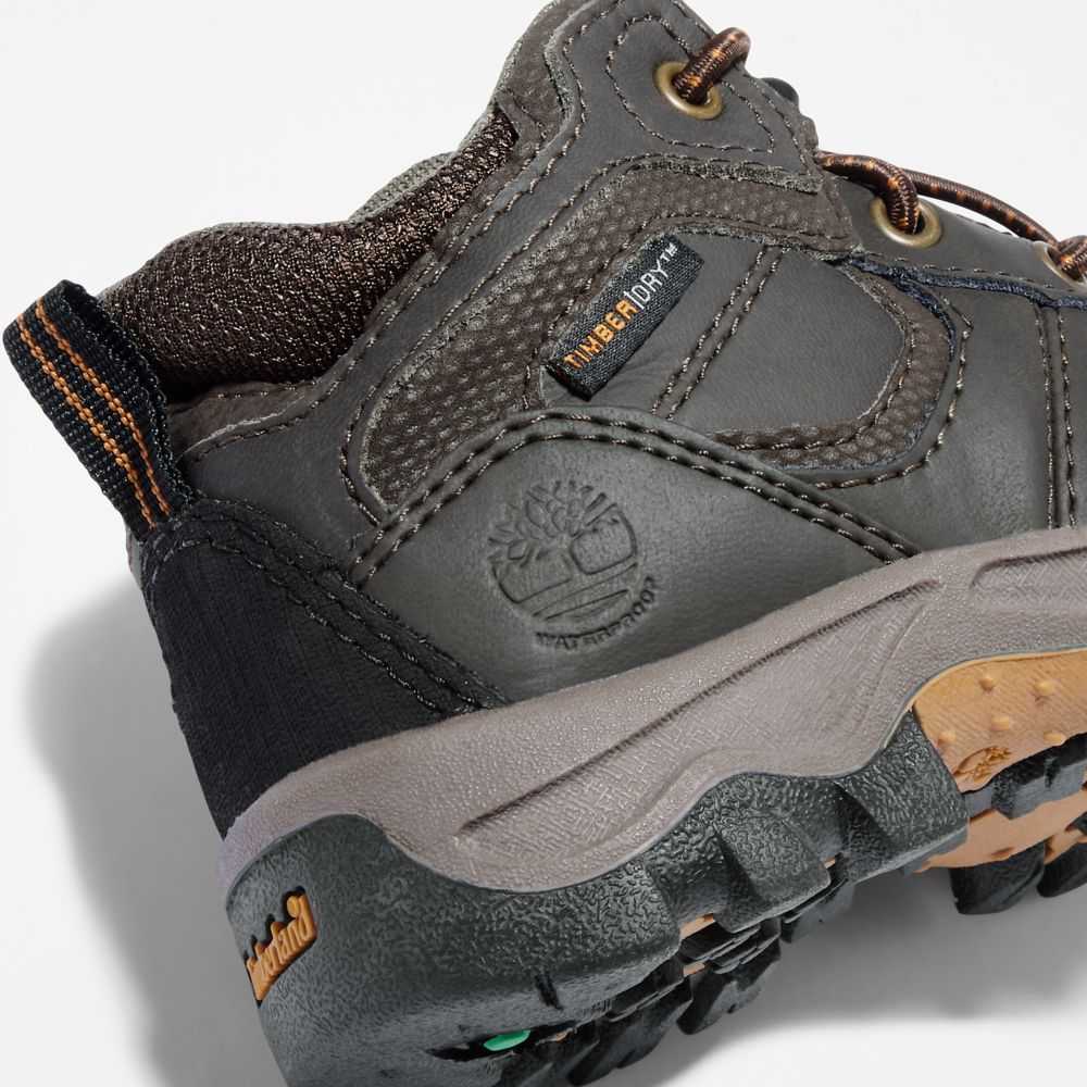 Timberland Mt Maddsen Marroni | SN-TBL46647