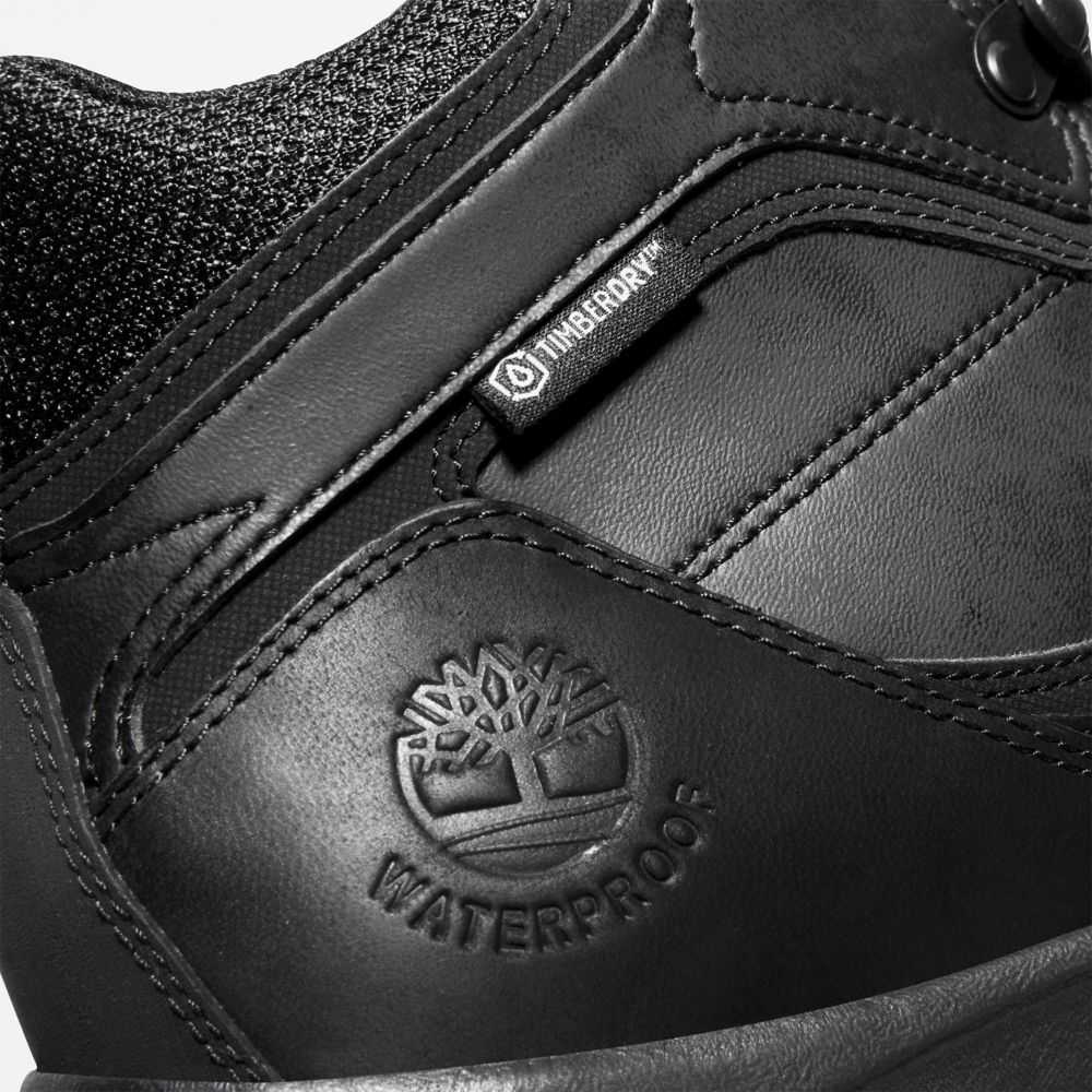 Timberland Mt Maddsen Nere | SN-TBL45851