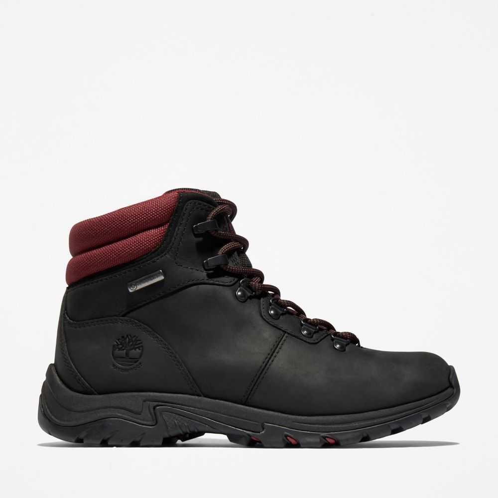 Timberland Mt Maddsen Nere | SN-TBL46399