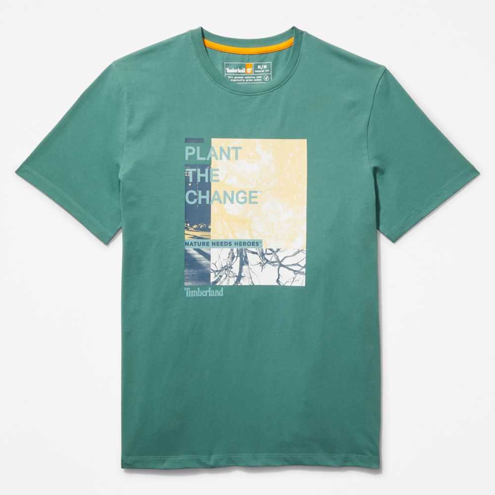 Timberland Nature Needs Heroes Verdi Profondo | SN-TBL46167
