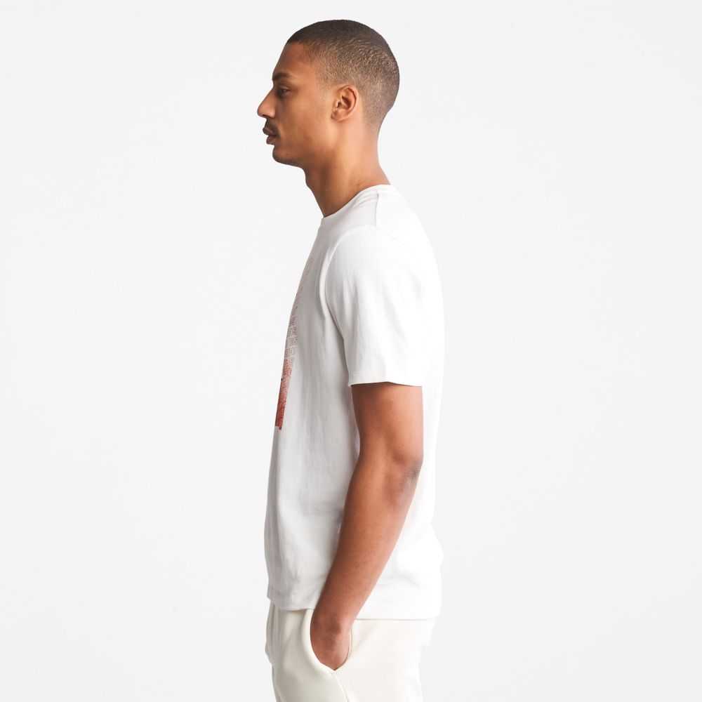 Timberland Organic Cotton Bianche | SN-TBL46129