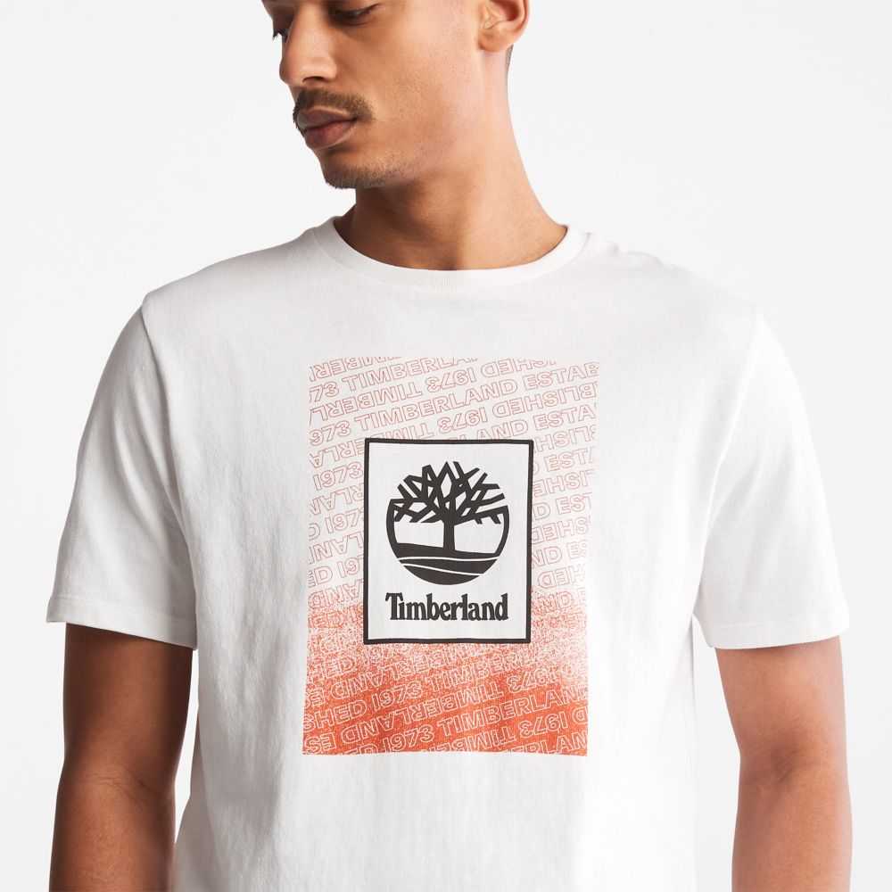 Timberland Organic Cotton Bianche | SN-TBL46129