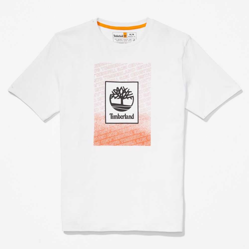 Timberland Organic Cotton Bianche | SN-TBL46129