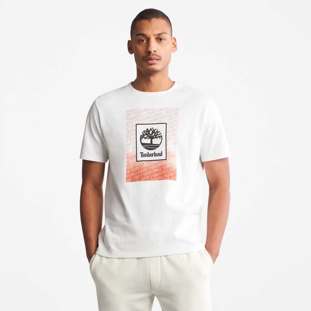 Timberland Organic Cotton Bianche | SN-TBL46129