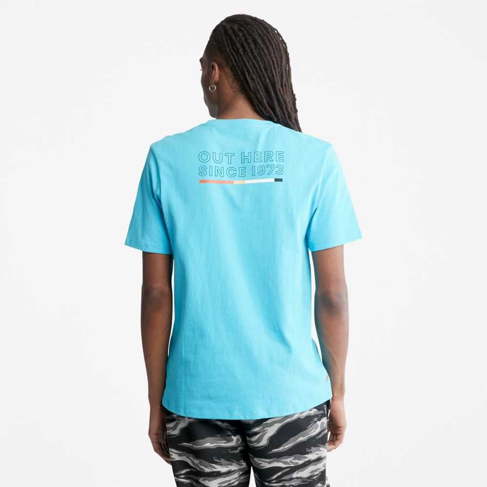 Timberland Organic Cotton Blu | SN-TBL46130