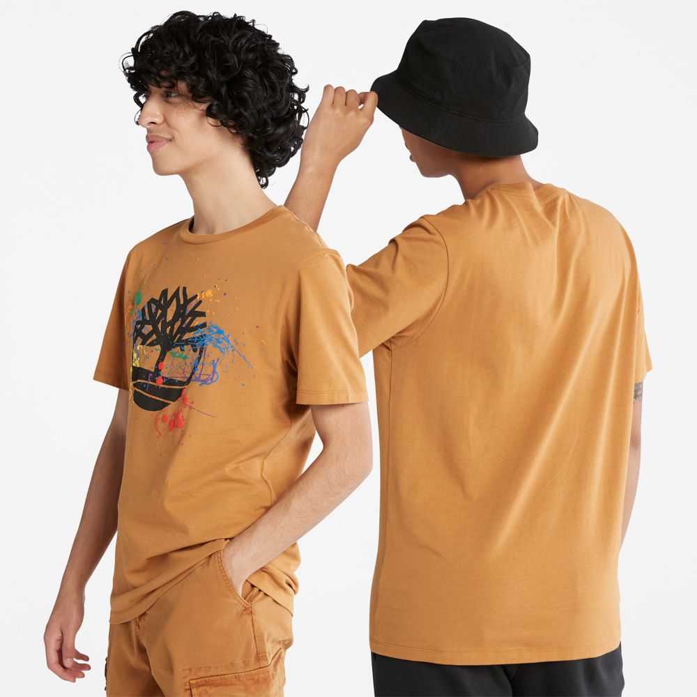Timberland Paint Marroni | SN-TBL46494