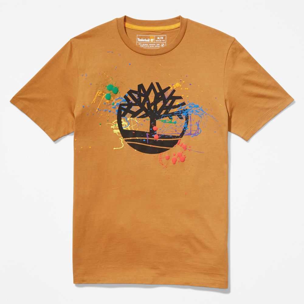 Timberland Paint Marroni | SN-TBL46494