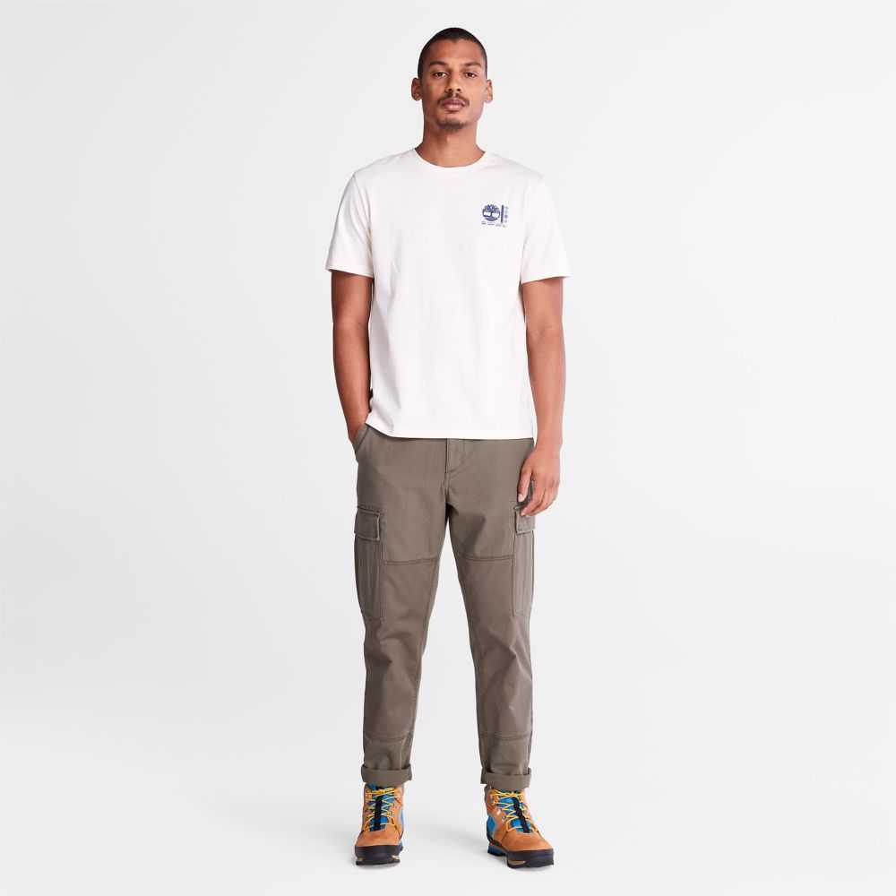 Timberland Photographic Bianche | SN-TBL46095