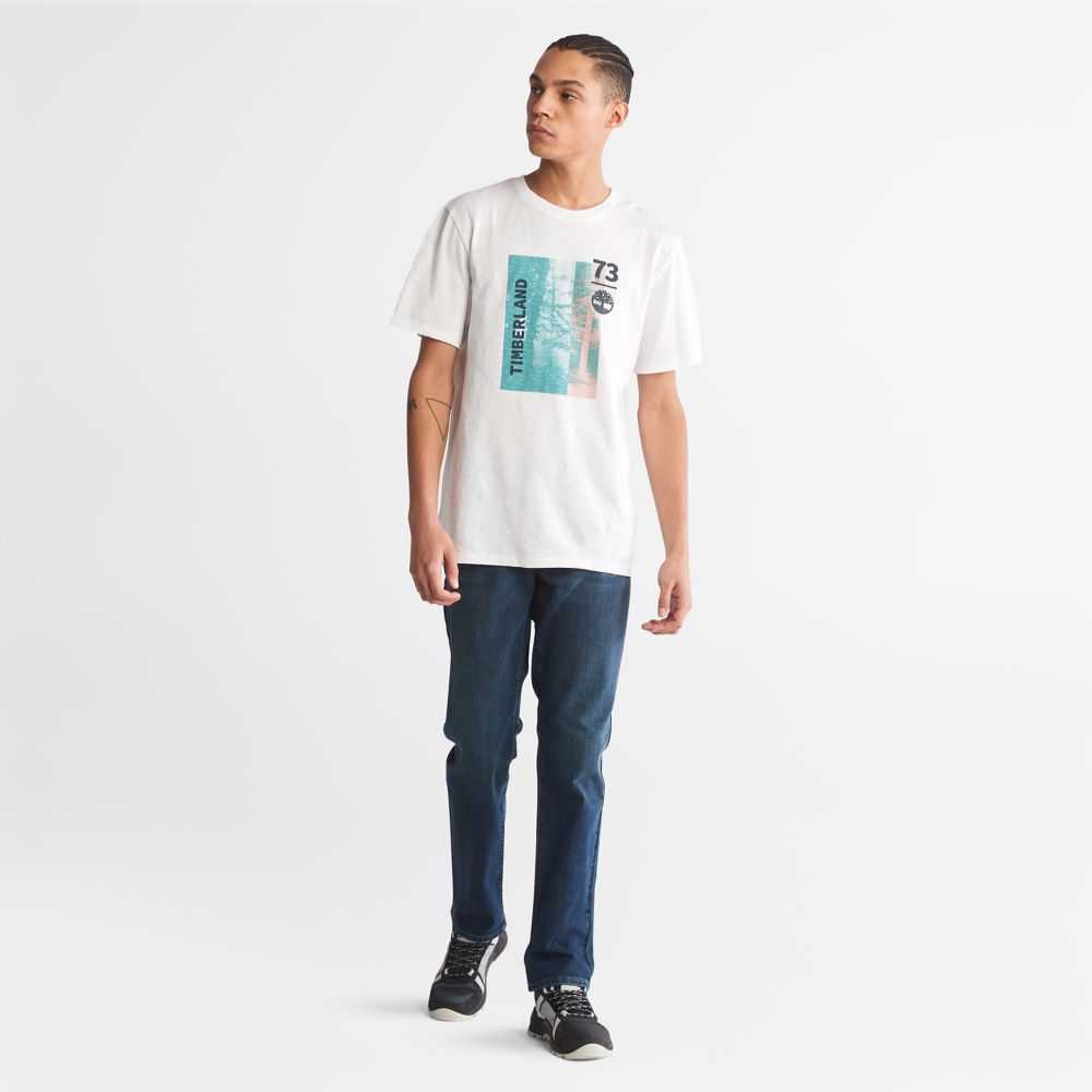 Timberland Photographic Bianche | SN-TBL46135