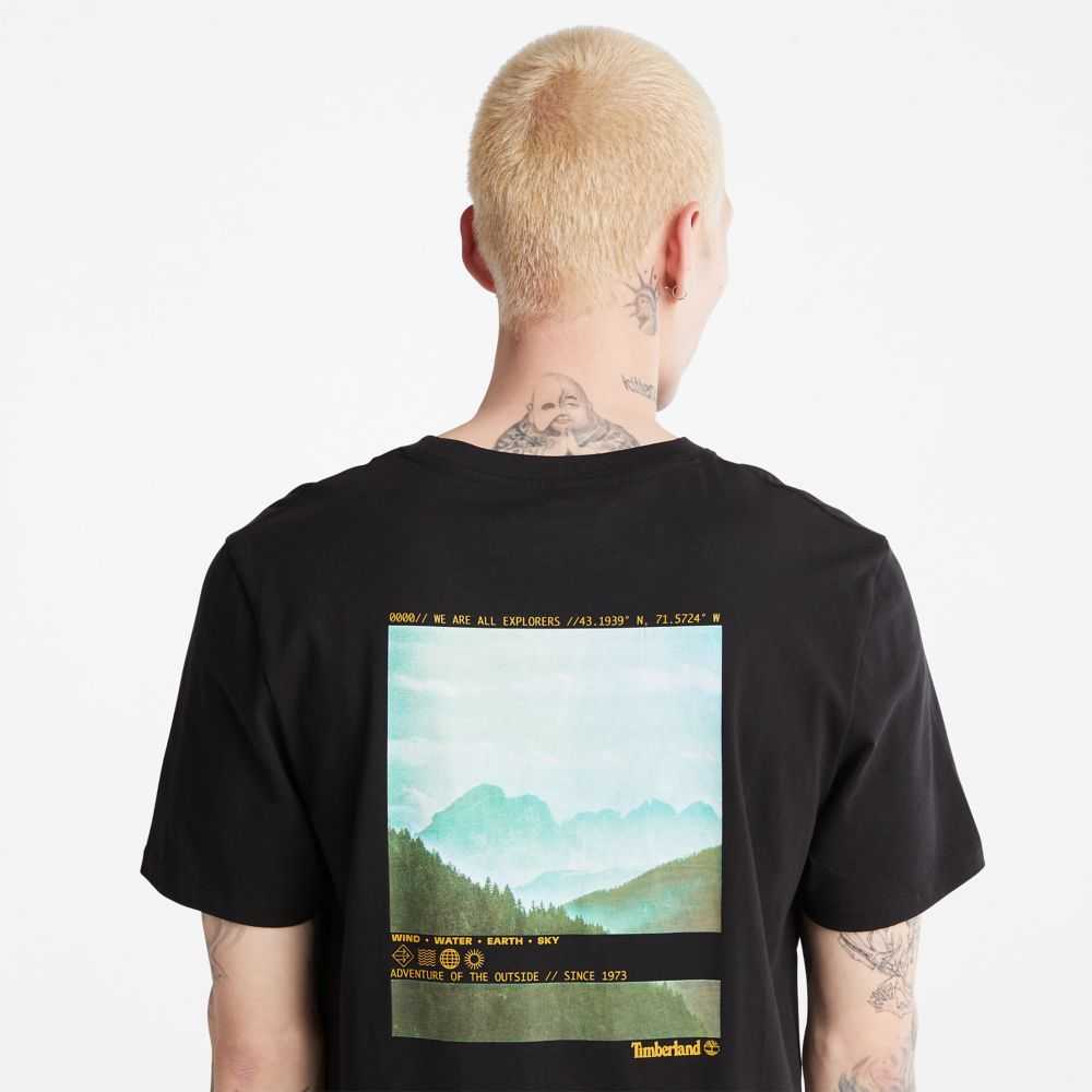Timberland Photographic Nere | SN-TBL46097