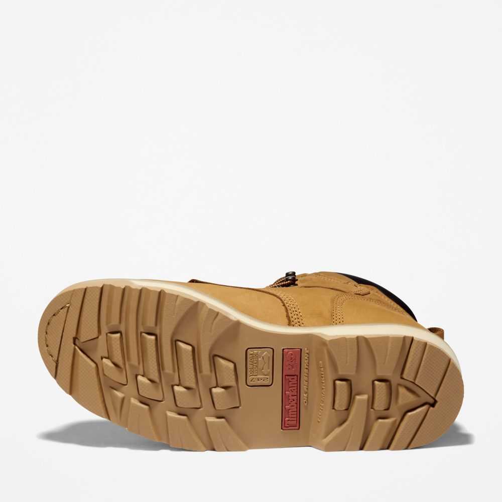Timberland Pit Boss 6 Marroni | SN-TBL45652