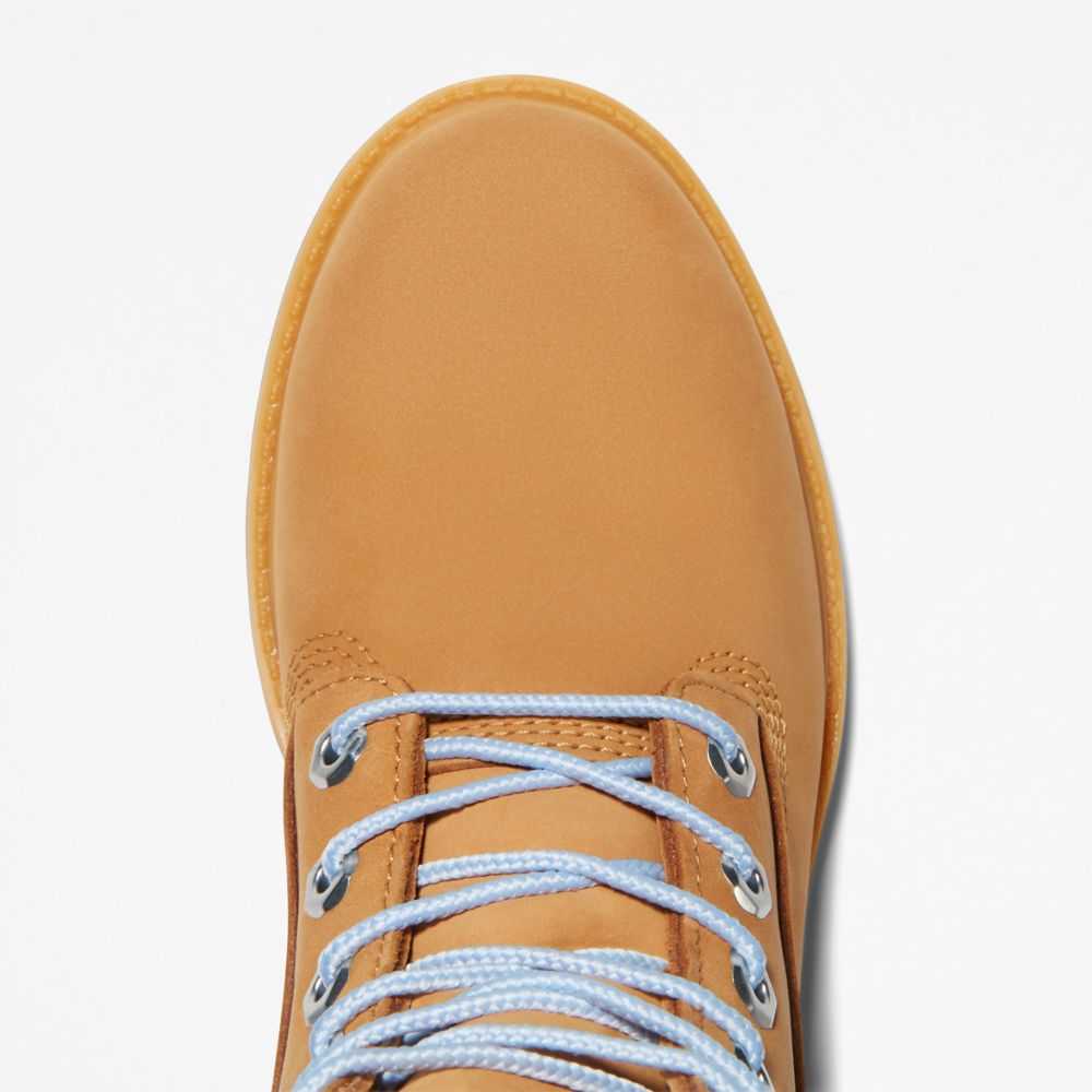 Timberland Premium 6 Inch Marroni Blu | SN-TBL46432