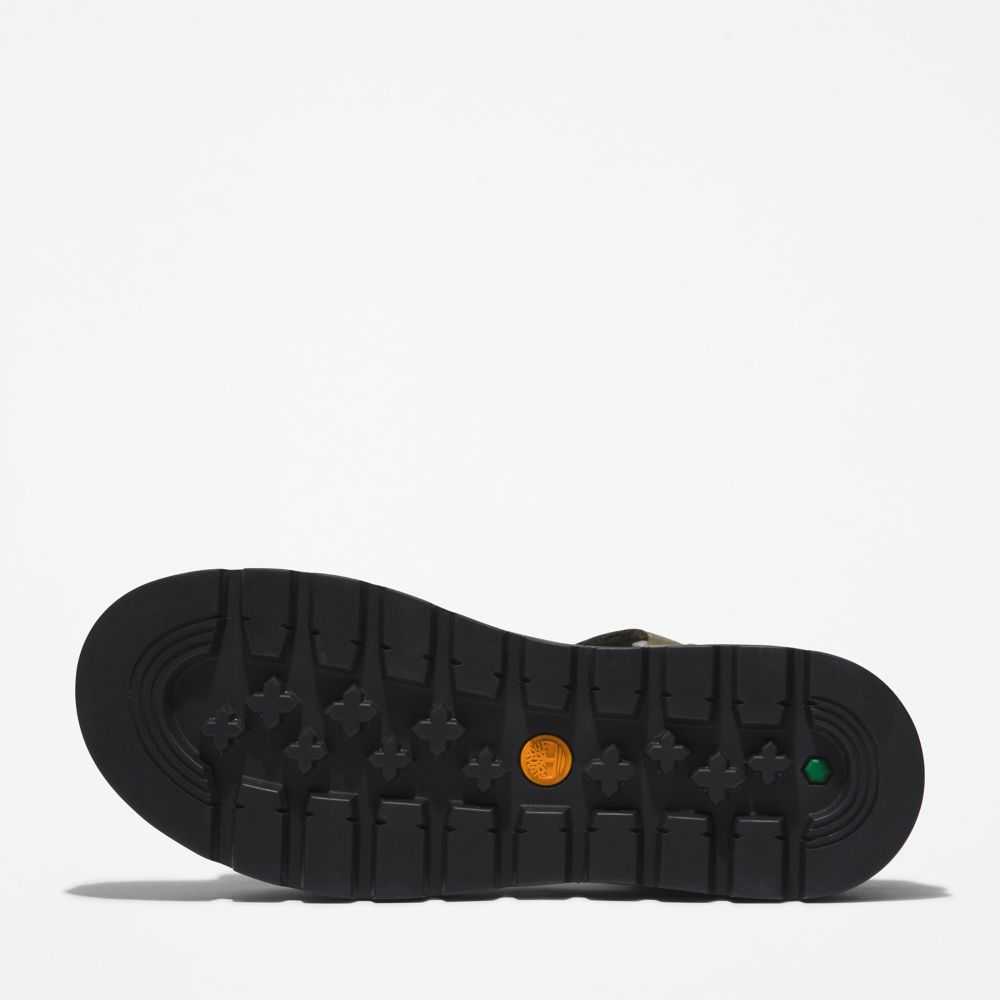 Timberland Ray City Verdi Scuro | SN-TBL46340