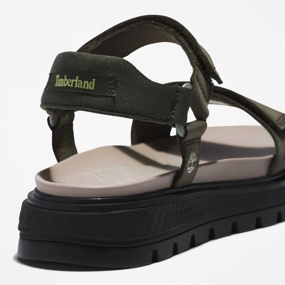 Timberland Ray City Verdi Scuro | SN-TBL46340