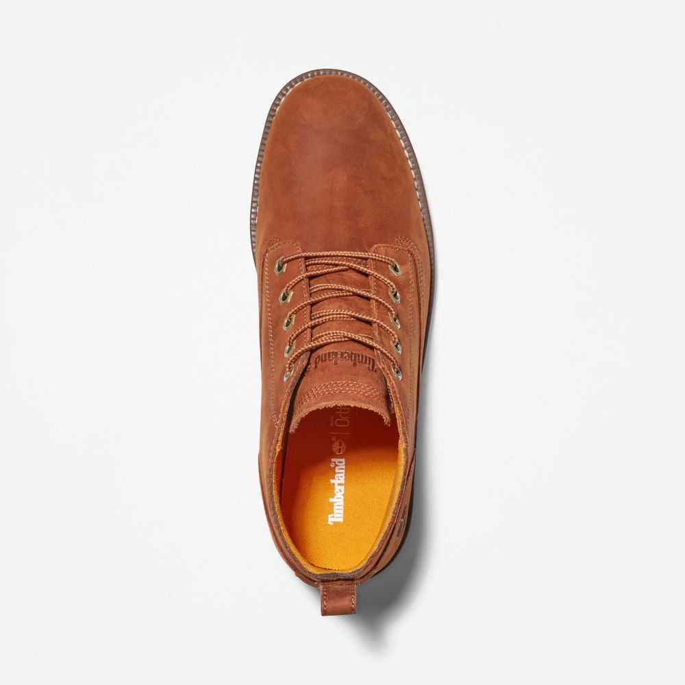Timberland Redwood Falls Marroni | SN-TBL45910