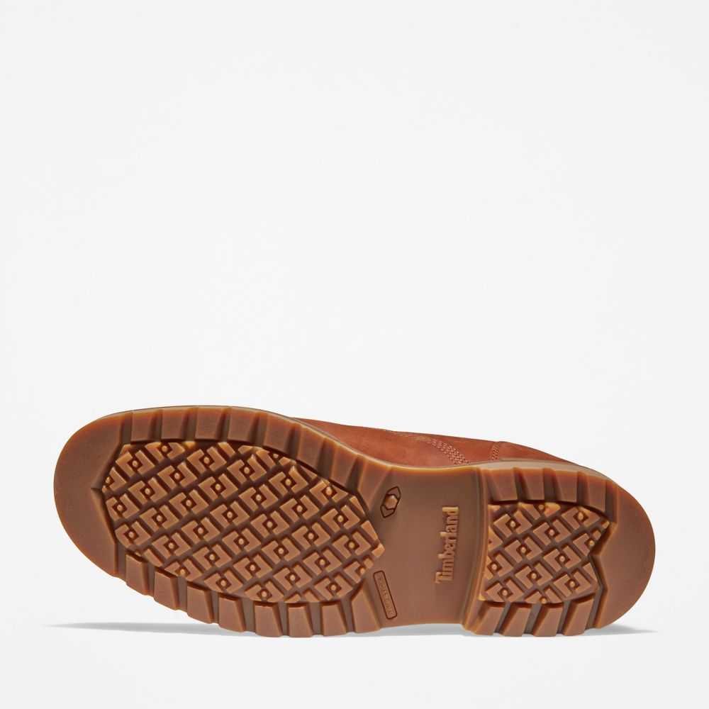 Timberland Redwood Falls Marroni | SN-TBL45910