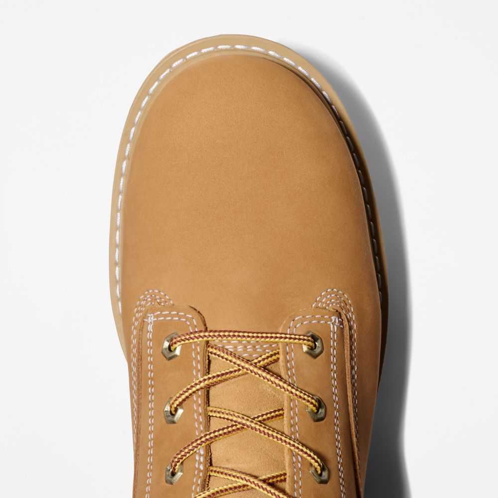 Timberland Renova Marroni | SN-TBL45670