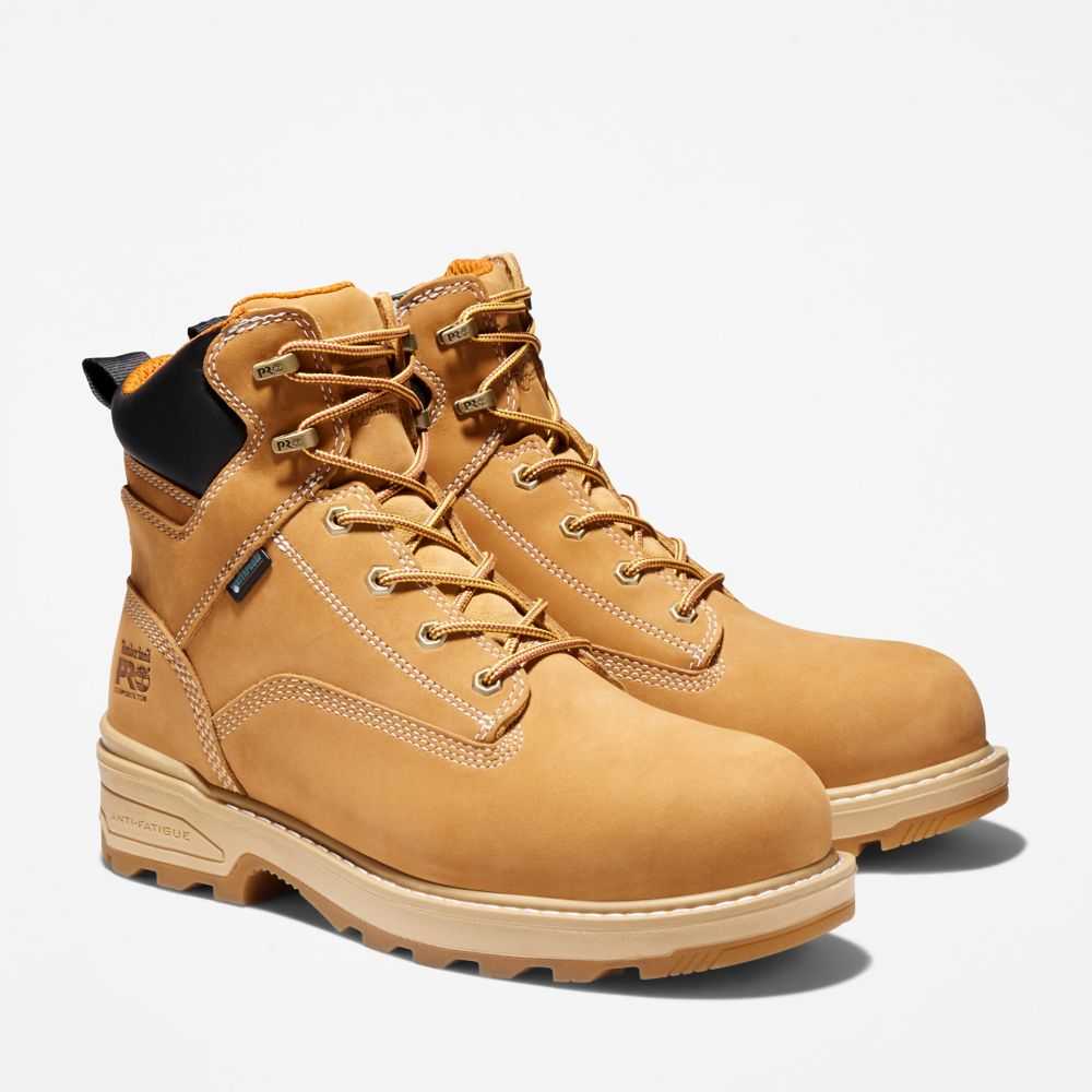 Timberland Renova Marroni | SN-TBL45670
