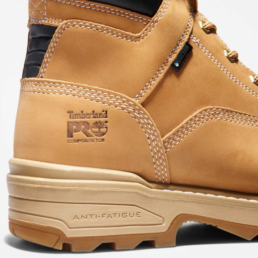 Timberland Renova Marroni | SN-TBL45670