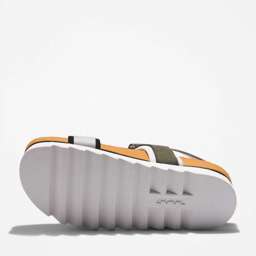 Timberland Santa Monica Sunrise Grigie Chiaro Verdi Scuro | SN-TBL46353