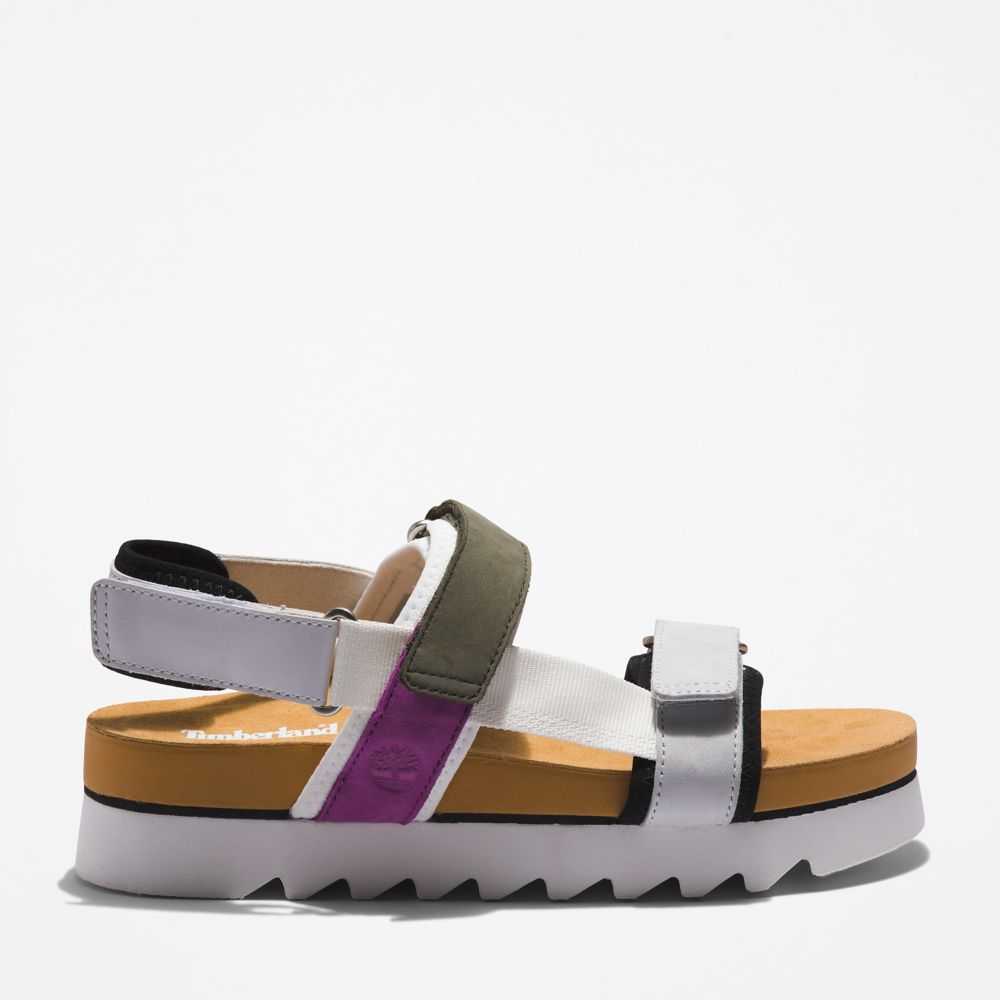 Timberland Santa Monica Sunrise Grigie Chiaro Verdi Scuro | SN-TBL46353